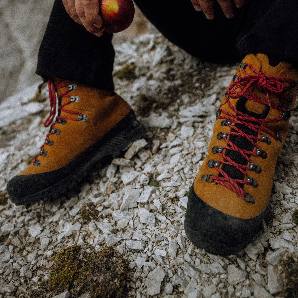 Alaska 30Y GTX | Men's Hanwag Men's Boots