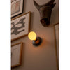 Bee Wall Light Humble Lights HUMWL00102 Wall Lights One Size / Black Frosted