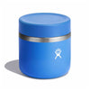 20 oz Insulated Food Jar Hydro Flask RF20482 Food Containers 20 oz / Cascade