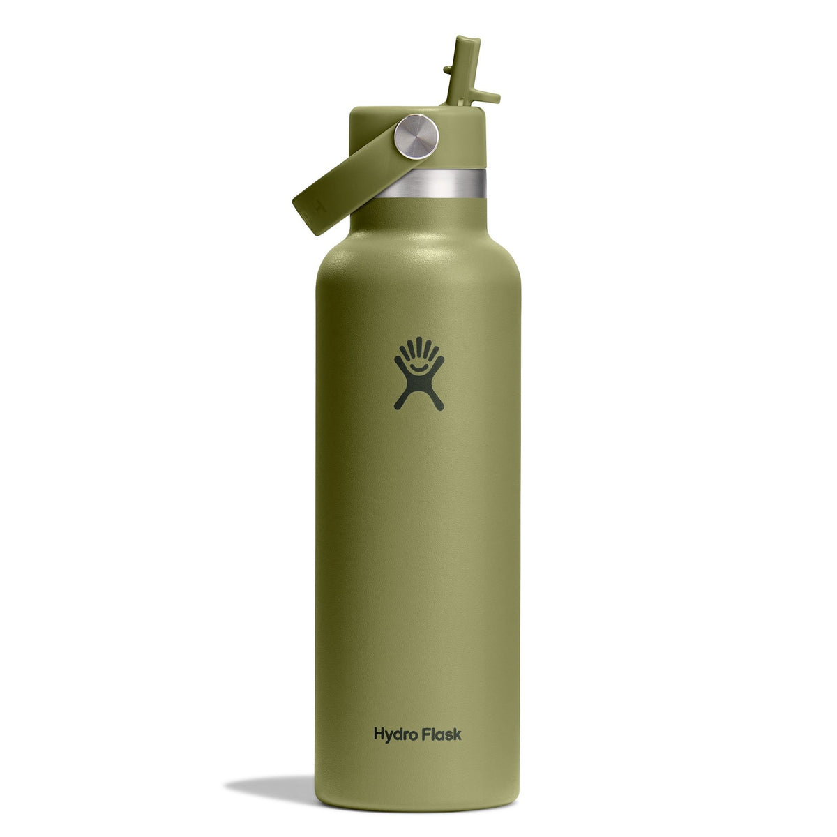 21 oz Standard Mouth w/ Flex Straw Cap Hydro Flask S21CFS346 Water Bottles 21 oz / Palmer Green