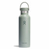 21 oz Standard Mouth Hydro Flask S21CSX374 Water Bottles 21 oz / Agave