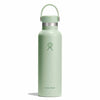 21 oz Standard Mouth Hydro Flask S21CSX338 Water Bottles 21 oz / Aloe