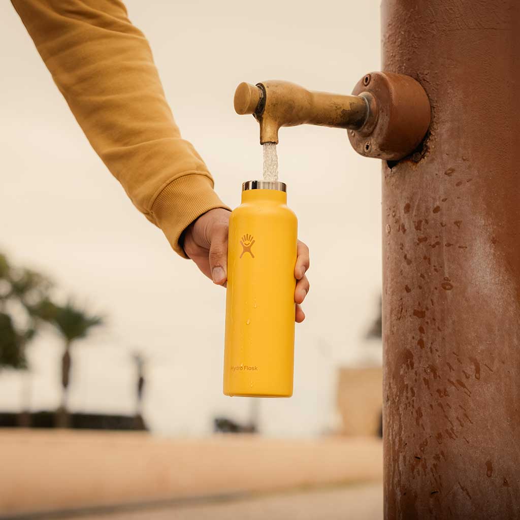 21 oz Standard Mouth Hydro Flask S21CSX722 Water Bottles 21 oz / Sunbeam