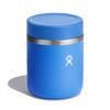 28 oz Insulated Food Jar Hydro Flask RF28482 Food Containers 28 oz / Cascade