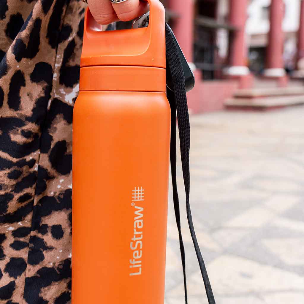 Lifestraw Go 700ml | Stainless Steel LifeStraw LSGV42SCGWW Water Filters 700 ml / Cactus Green
