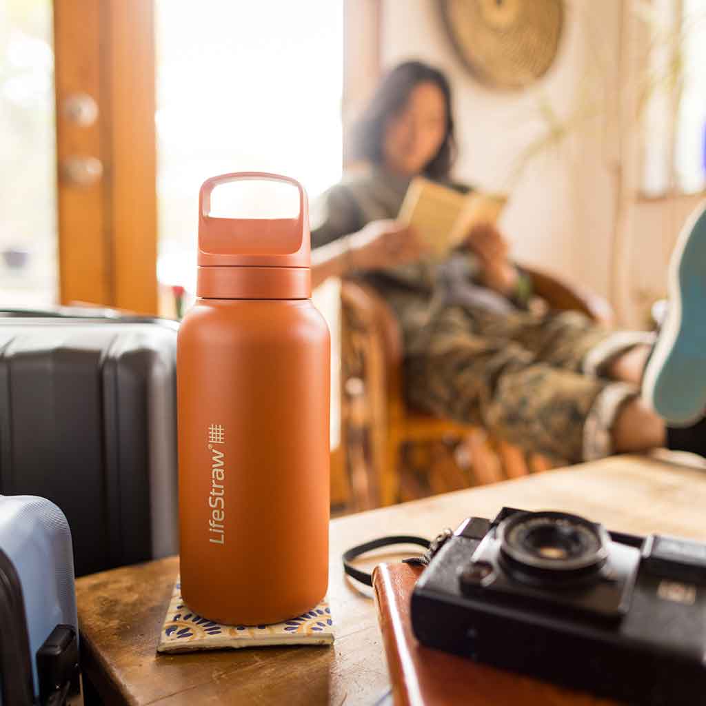 Lifestraw Go 700ml | Stainless Steel LifeStraw LSGV42SCGWW Water Filters 700 ml / Cactus Green
