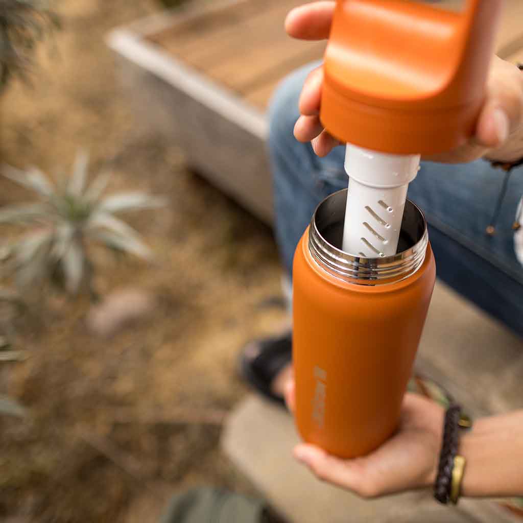 Lifestraw Go 700ml | Stainless Steel LifeStraw LSGV42SCGWW Water Filters 700 ml / Cactus Green