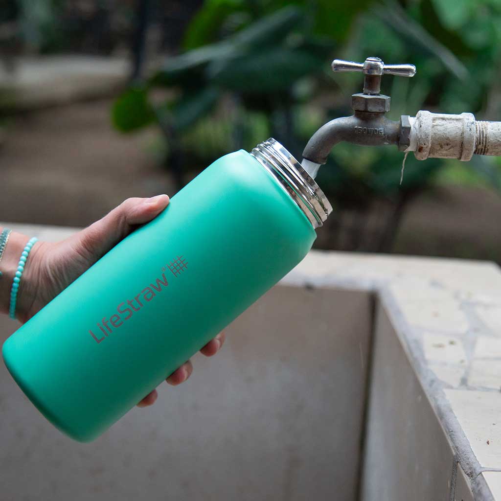 Lifestraw Go 700ml | Stainless Steel LifeStraw LSGV42STPWW Water Filters 700 ml / Thistle Purple