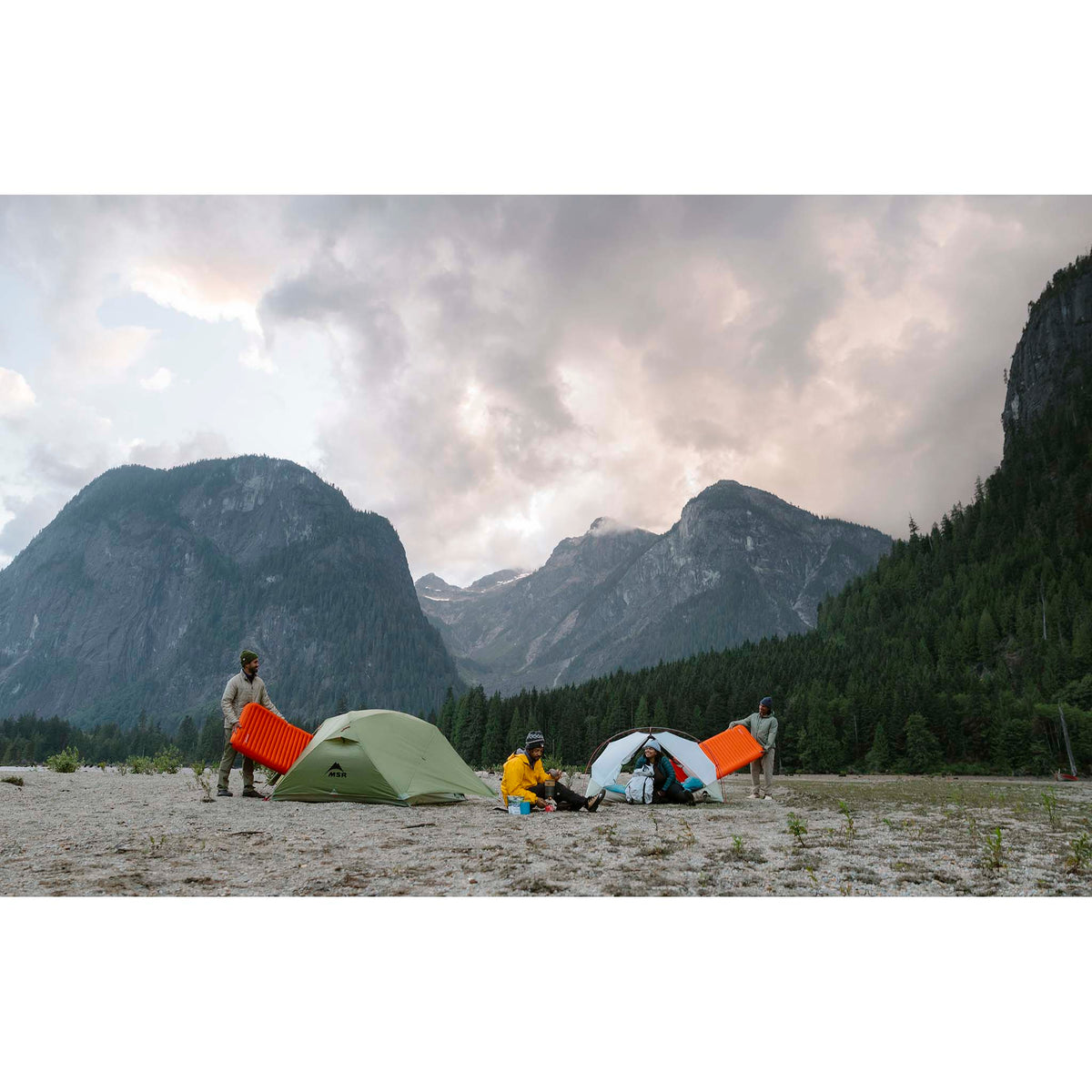 Elixir 2 Tent MSR 13699 Tents 2P / Green