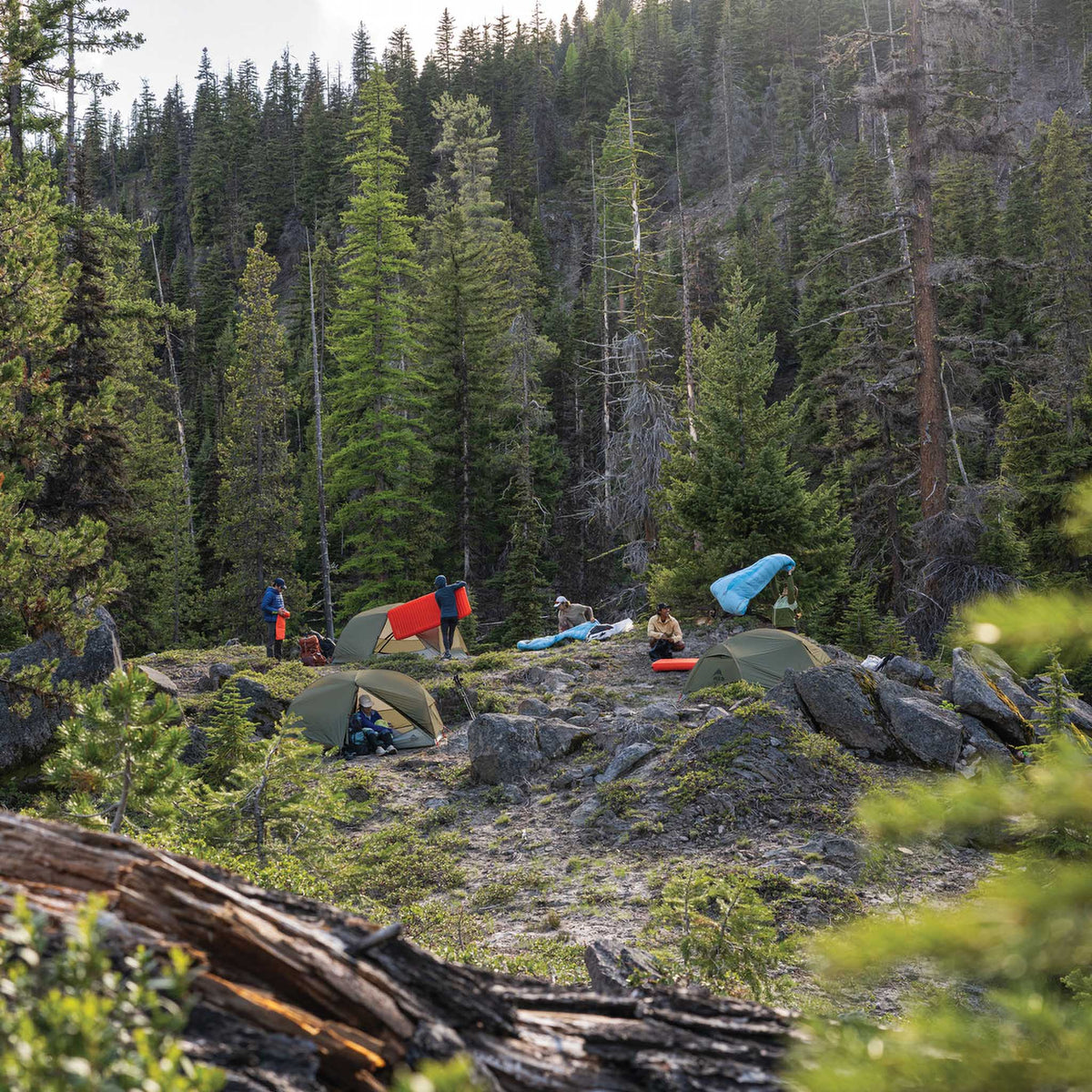 Hubba Hubba LT 3 Tent MSR 14308 Tents 3P / Olive Night