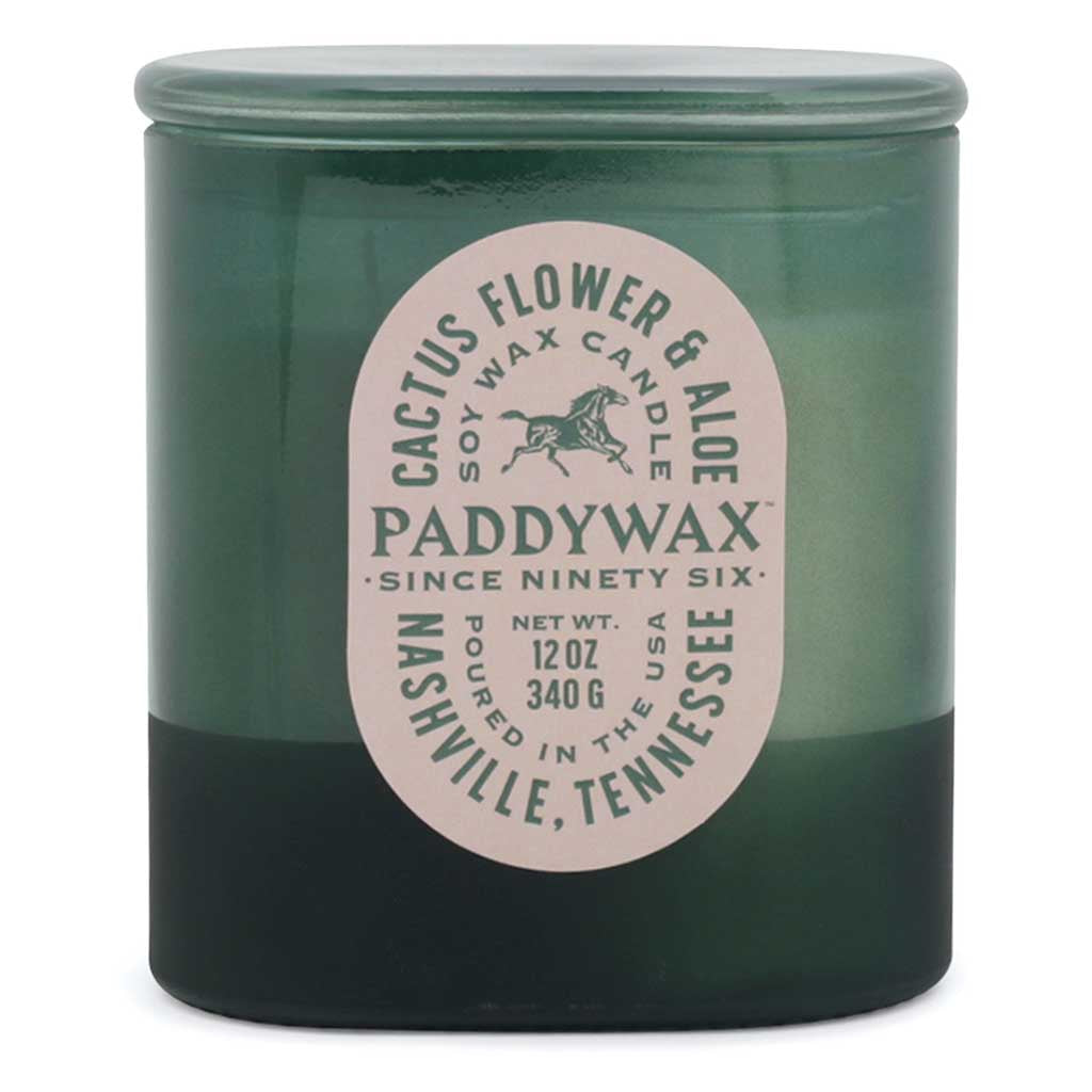 Vista 12oz Candle | Cactus Flower &amp; Aloe Paddywax VS1005EU Candles 12oz / Green