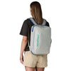 Black Hole Micro MLC Patagonia 49260-BCW-ALL Backpacks 22L / Birch White