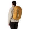 Black Hole Pack 32L Patagonia 49302-PGTA-ALL Backpacks 32L / Pufferfish Gold w/Beeswax Tan