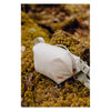 Outdoor Sling 2L Peak Design BAS-2-CD-1 Sling Bags 2L / Cloud