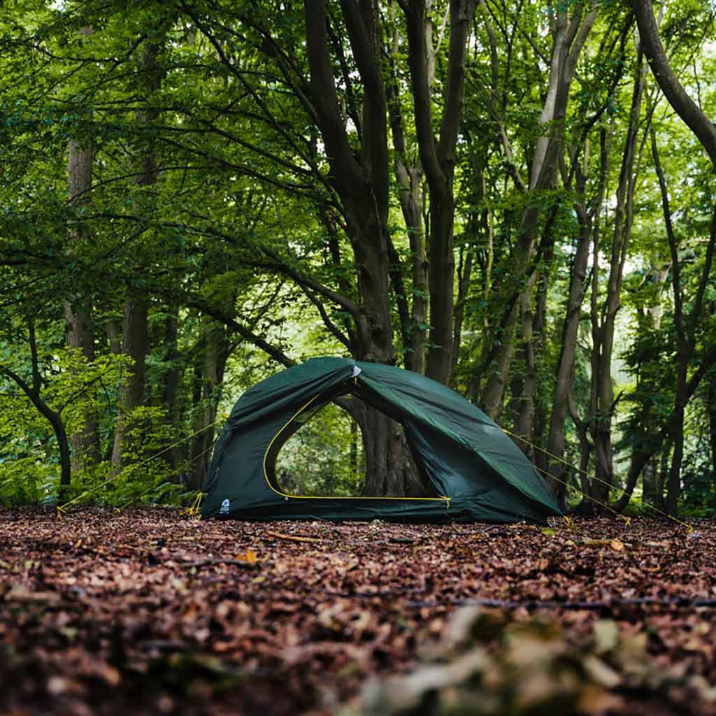 Sierra Designs | Meteor 3000 3P Tent | Backpacking Tent | Forest Green