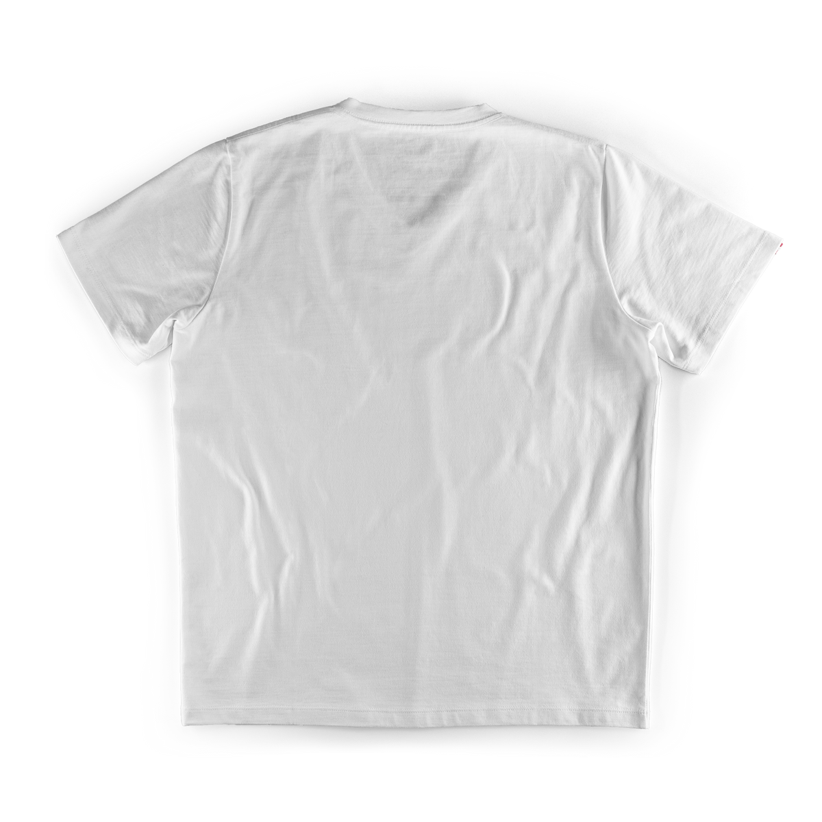 Classic White V-Neck T-Shirt &SONS Men's Tees