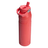 IceFlow Bottle Flip Straw 2.0 Stanley Tumblers