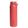 IceFlow Bottle Flip Straw 2.0 Stanley Tumblers