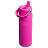 IceFlow Bottle Flip Straw 2.0 Stanley Tumblers