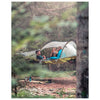 Stingray Tree Tent | 3 Person Tentsile S3PRED Tents 3 person / Predator Camo