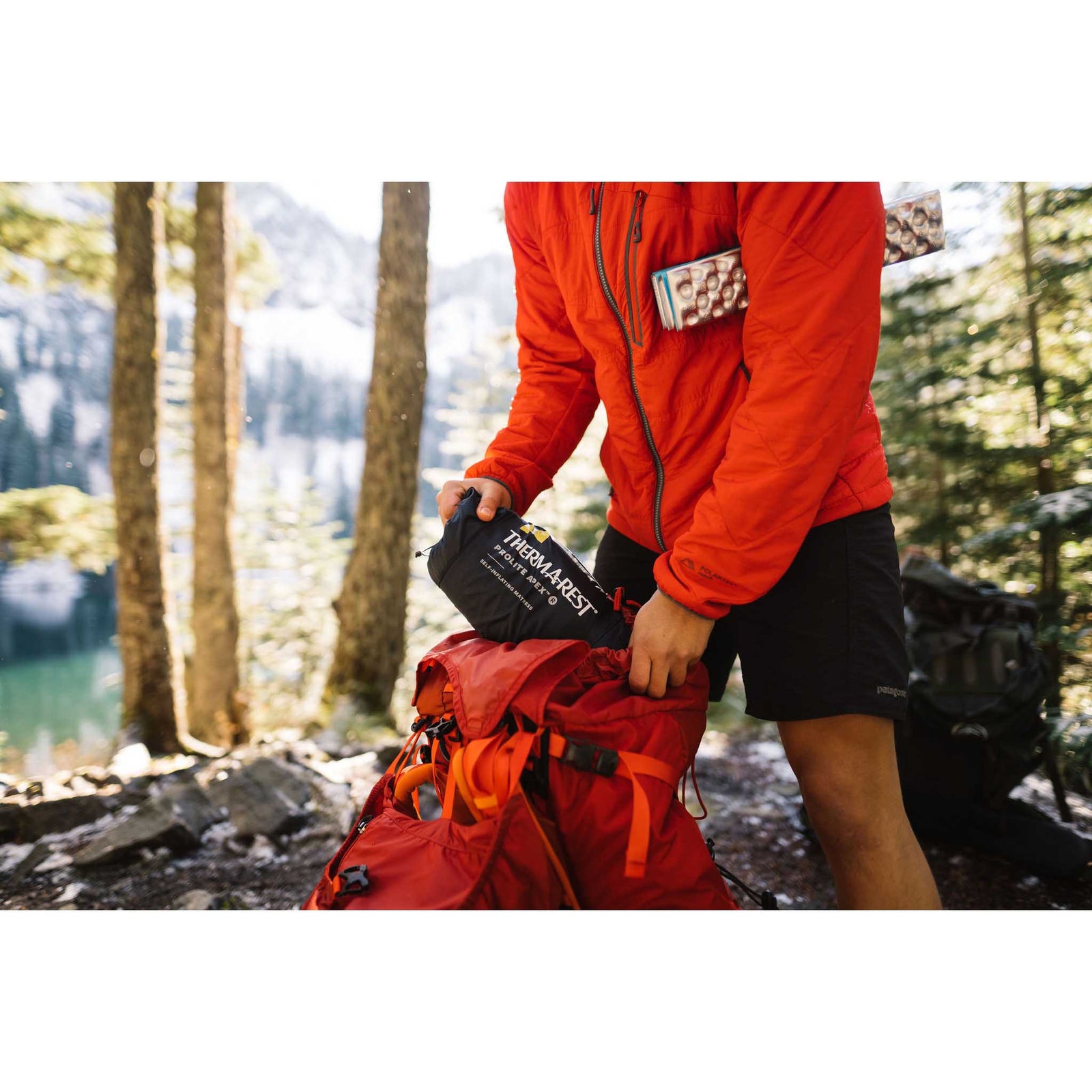 Z Seat Therm-a-Rest 9947 Sit Mats One Size / Limon / Silver