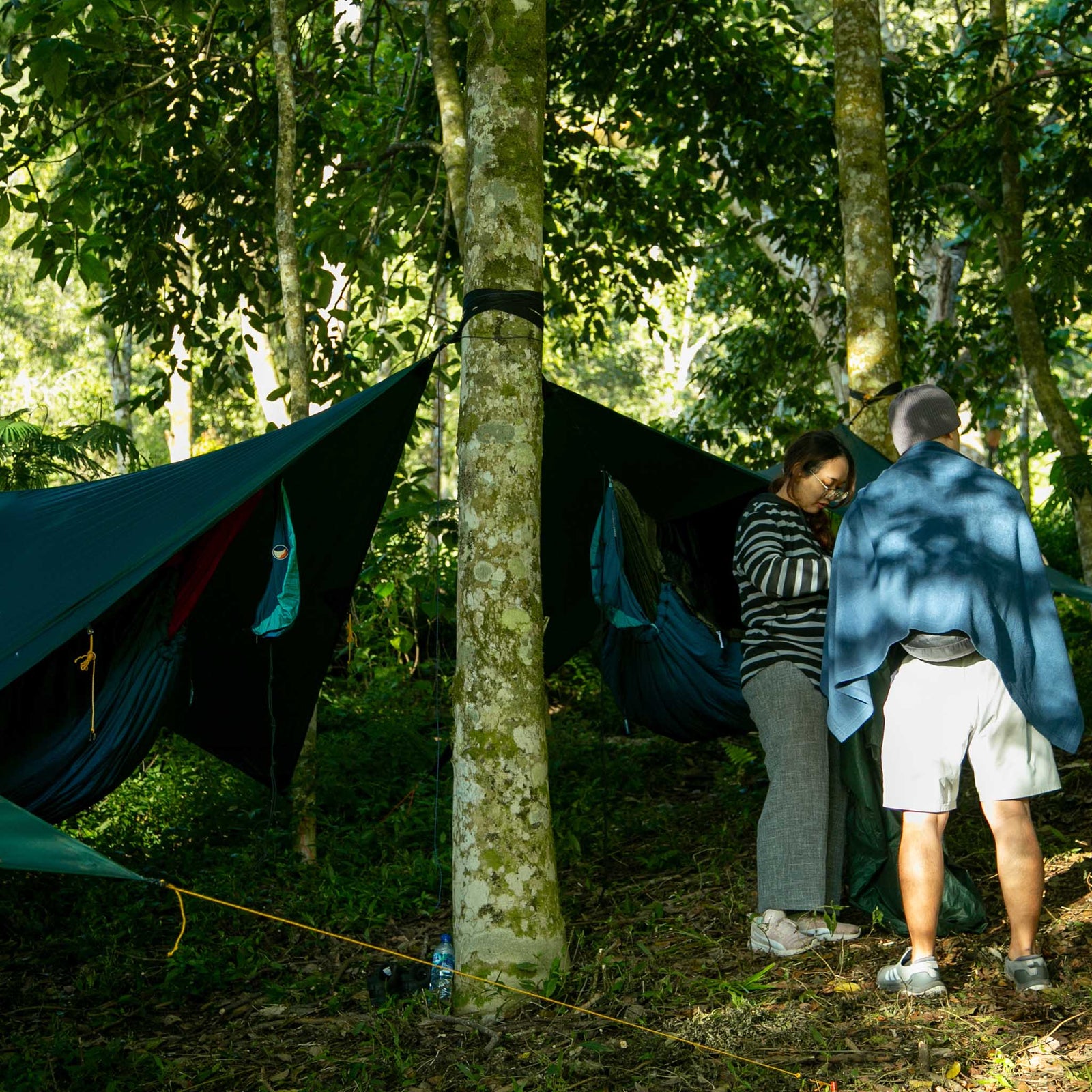 Mammock Hammock Ticket To The Moon TMM4323 Hammocks 800 x 450 cm / Olive Brown/Sparkling Gold
