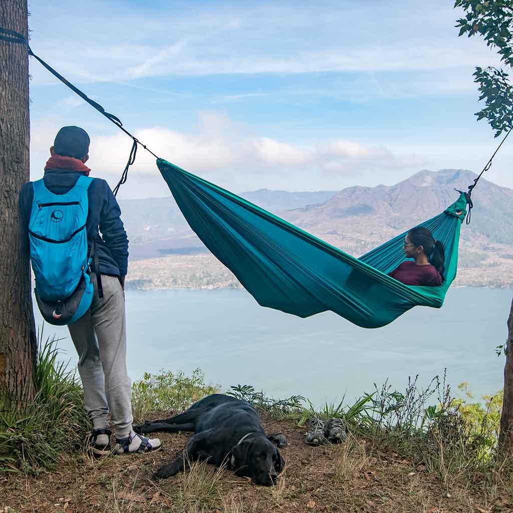 Ticket to the Moon | Original Hammock | Navy Blue/Purple | WildBounds