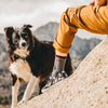 Hiker Boot Midweight | Cushion | Women's Darn Tough Socks