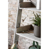 Aldsworth Shelf Ladder | Small Garden Trading AWSL01 Shelves Small / Grey Wood
