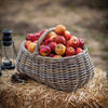 Bembridge Forage Basket Garden Trading BARA19 Baskets One Size / Rattan