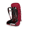 Talon 33 Backpack | Men's Osprey Backpacks