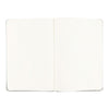 Webnotebook Dot Grid Rhodia 118767C Notebooks A5 / Silver