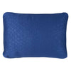 Foam Core Pillow Sea to Summit Camping Pillows