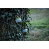 Mini Hozuki Lantern Snow Peak ES-041GR Lanterns Small / Green
