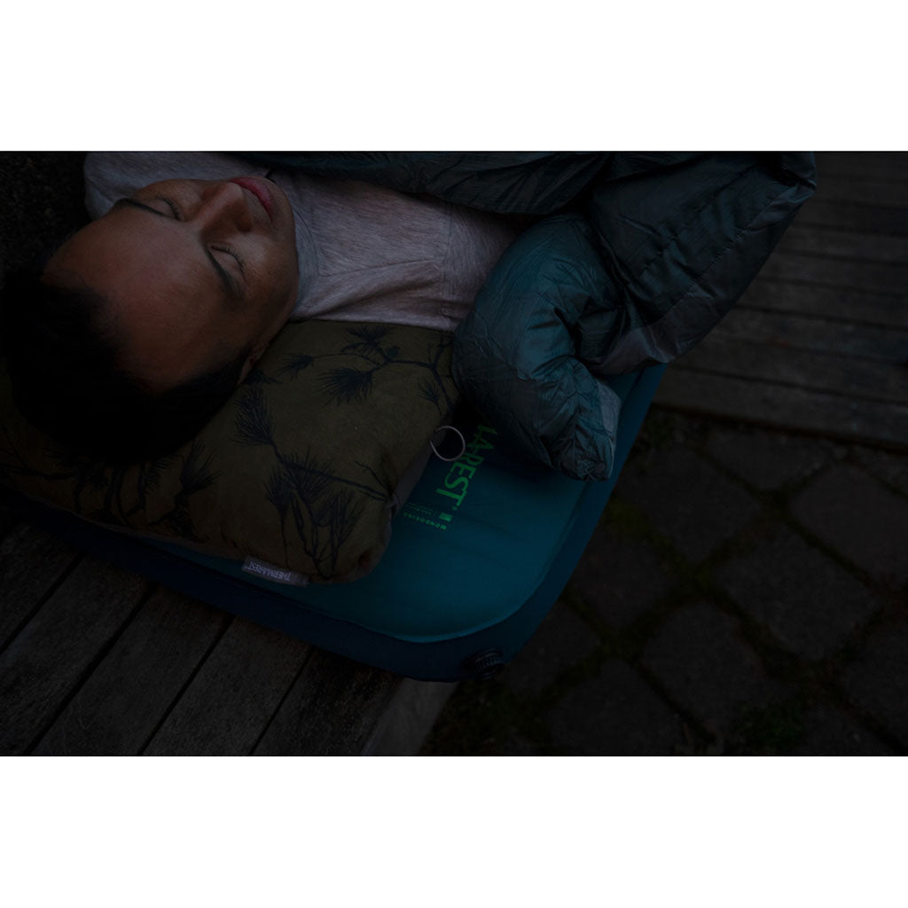 Des oreillers pas très confortables – La boite verte